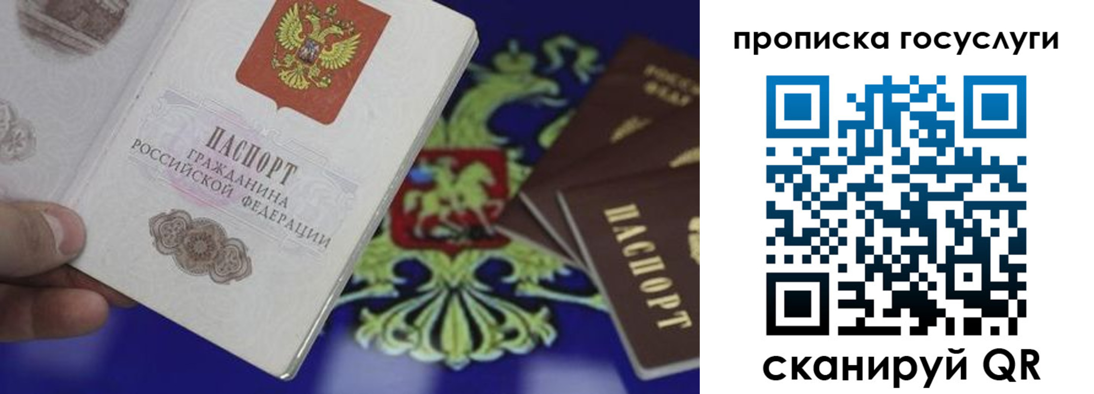 прописка для школы в Бокситогорске
